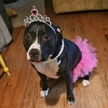 Lucille  <u>Last Name</u> Photo