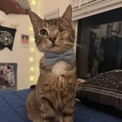 Teaspoon  <u>Last Name</u> Photo