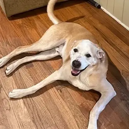 Teddy  <u>Last Name</u> Photo